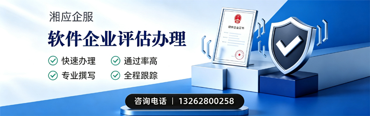日照软件企业评估申报服务