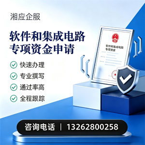 日照软件和集成电路专项资金申报服务