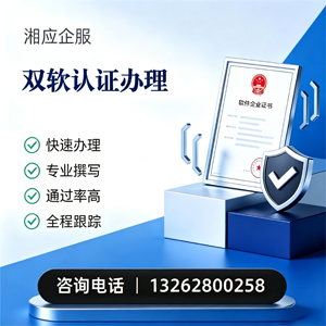 日照双软认证申报服务