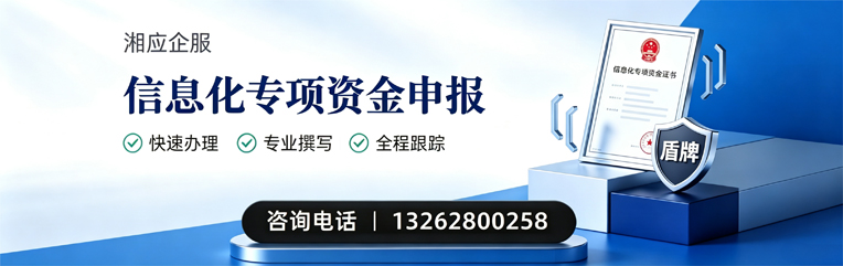 日照信息化专项资金申报服务