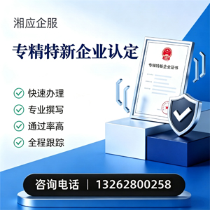 日照专精特新企业申报服务