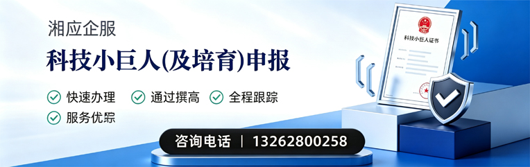 日照科技小巨人及培育企业申报服务