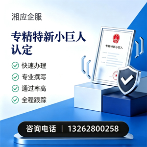 日照专精特新小巨人申报服务