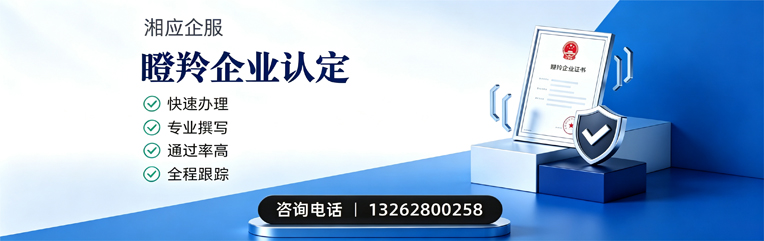 日照瞪羚企业认定申报服务