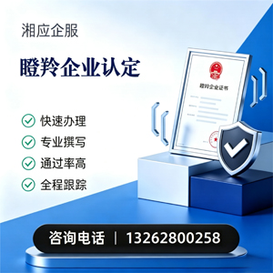 日照瞪羚企业认定申报服务