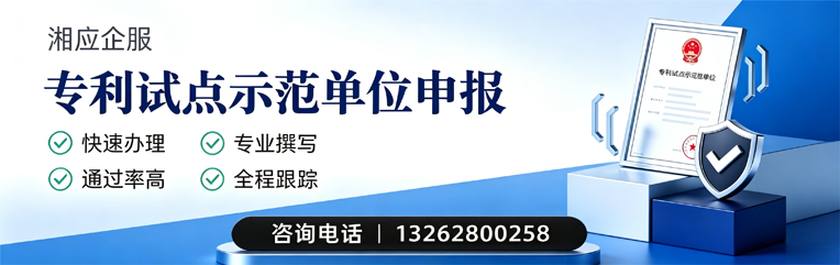 日照专利试点示范单位申报服务