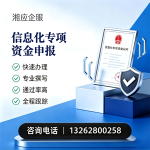 日照信息化专项资金申报服务