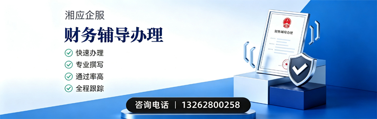 日照财务辅导申请服务
