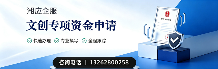 日照文创专项资金申报服务