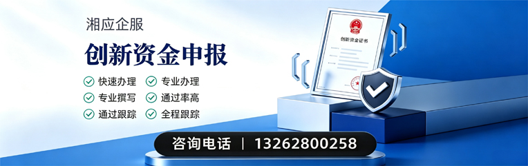 日照创新资金申报服务