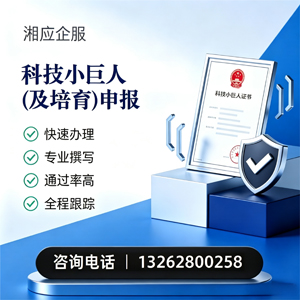 日照科技小巨人及培育企业申报服务