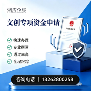 日照文创专项资金申报服务