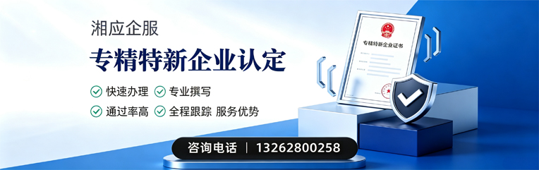 日照专精特新企业申报服务