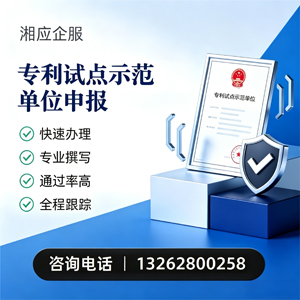 日照专利试点示范单位申报服务