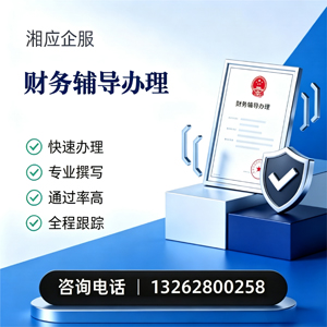 日照财务辅导申请服务