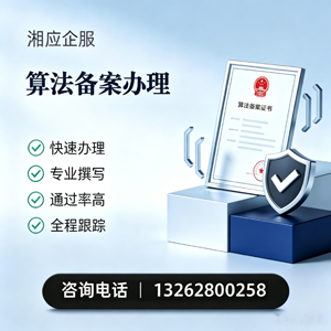 日照算法备案申报服务