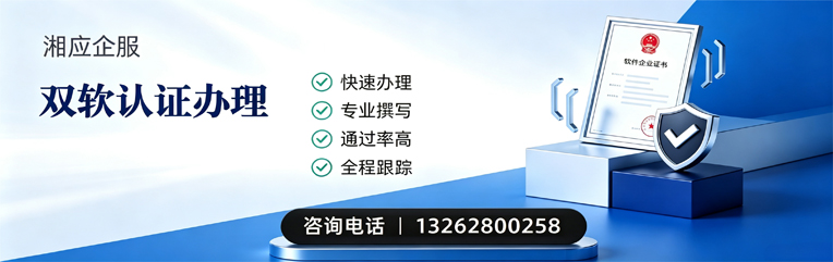日照双软认证申报服务