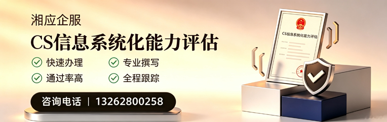日照CS信息系统化能力评估申报服务