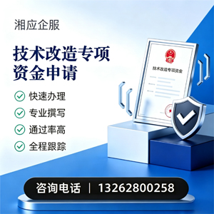 日照技术改造专项资金申报服务