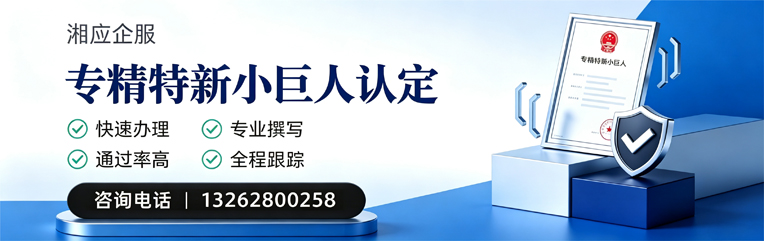 日照专精特新小巨人申报服务